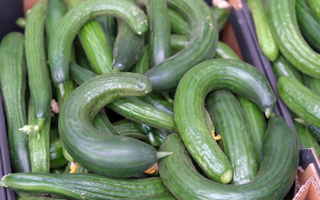 Perfectly good produce, not going to waste